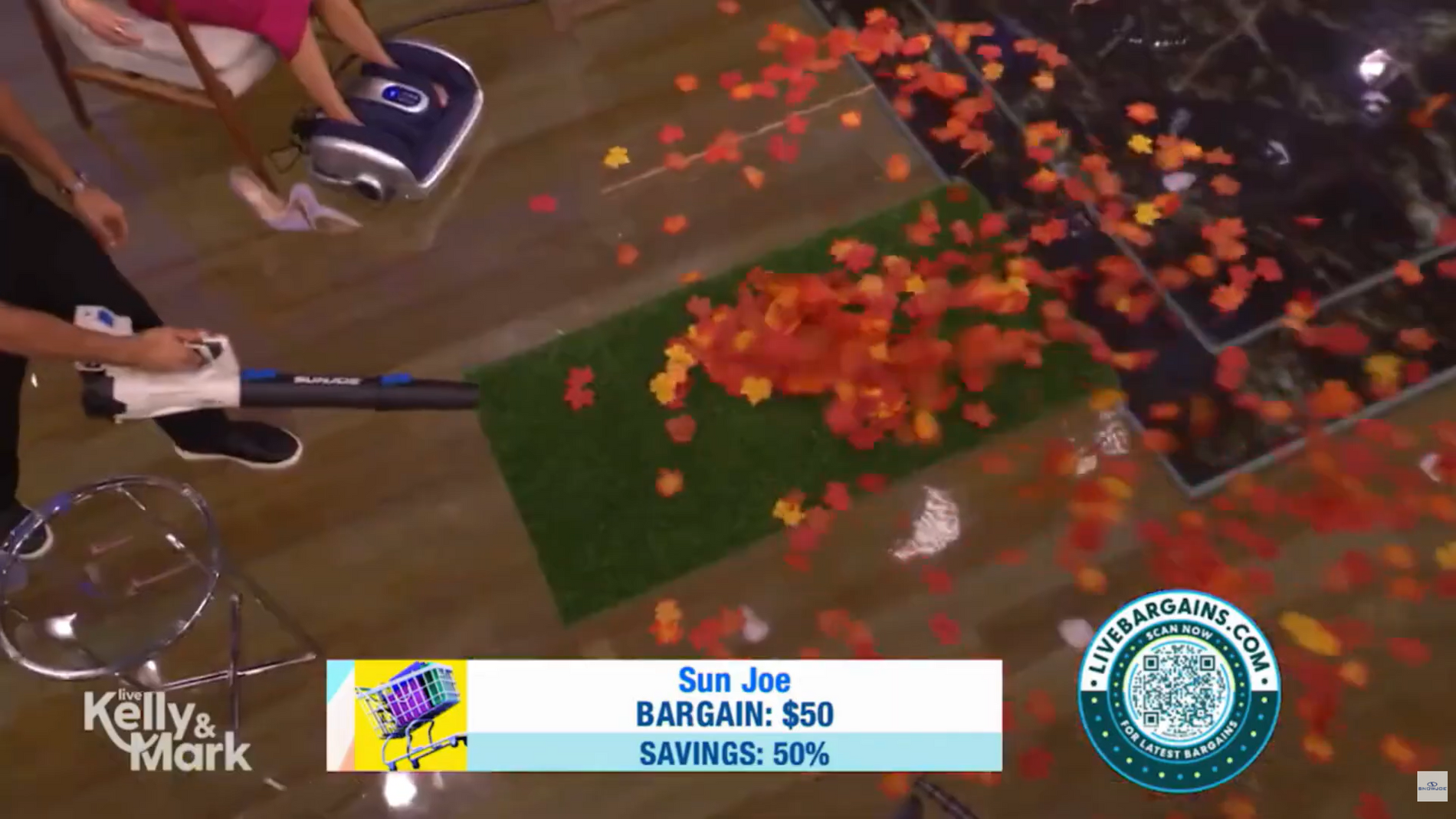 Kelly & Mark Show Featuring Sun Joe X20 Multi-Purpose Blower