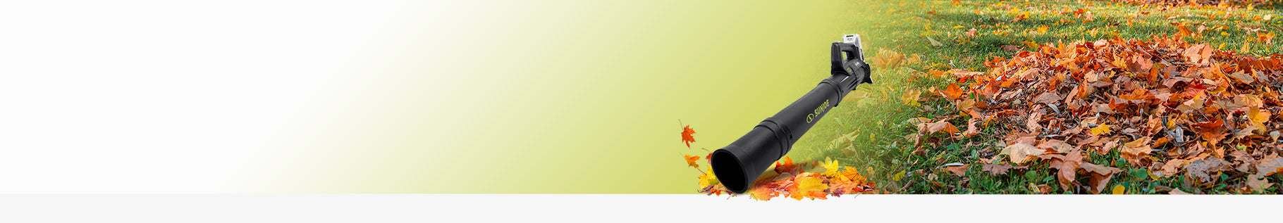 Blowout Deals