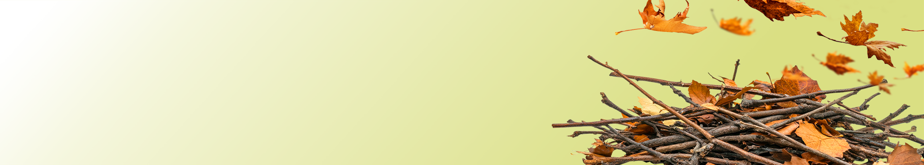 Electric Yard Chores