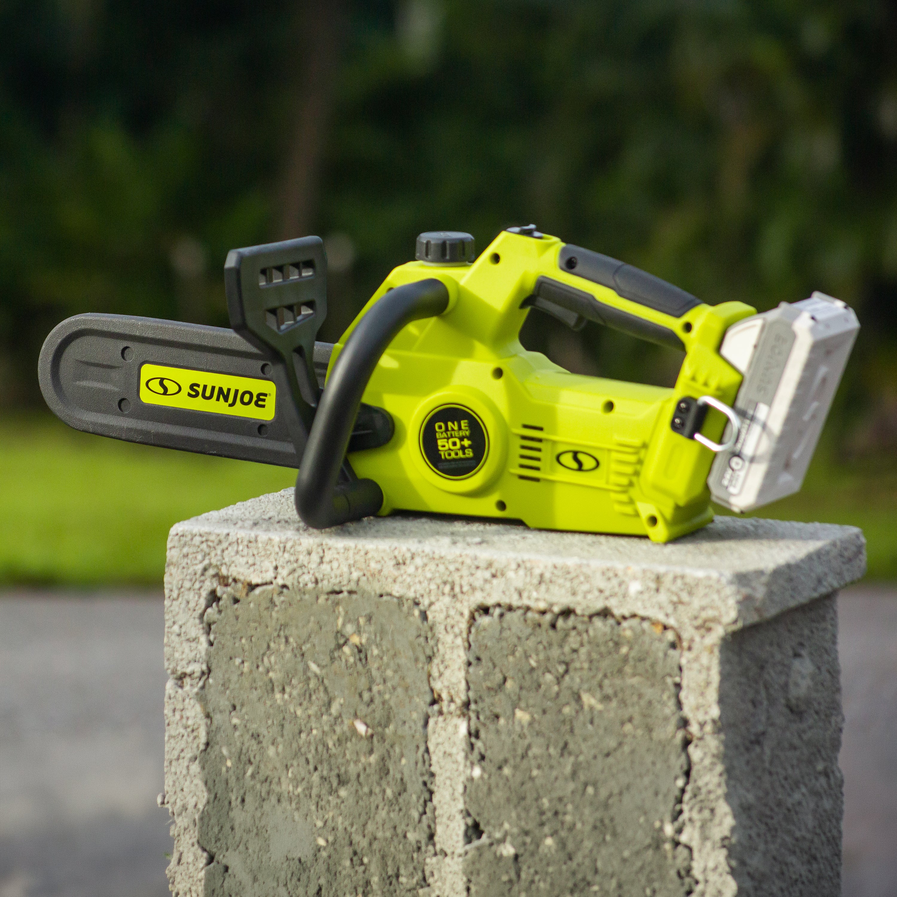Sun Joe 24-Volt* IONMAX Cordless Self-Oiling Chain Saw Kit | 10-inch | Tool-Less Bar/Chain Tension | W/ 4.0-Ah Battery + Charger (Green)