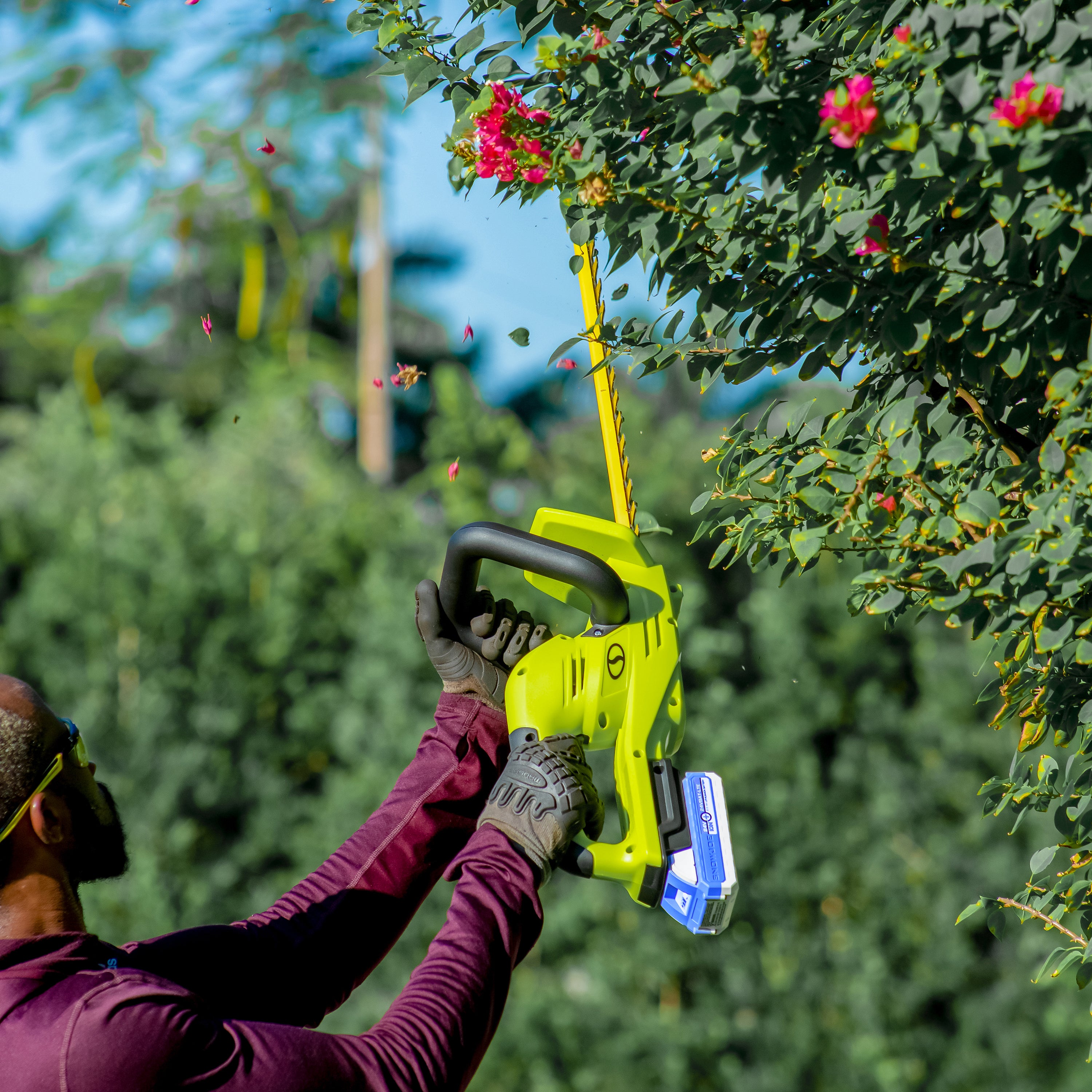 Man using the Sun Joe 24-Volt 22-inch cordless hedge trimmer with a 4.0-Ah lithium-ion battery attached to cut small branches off a tree,