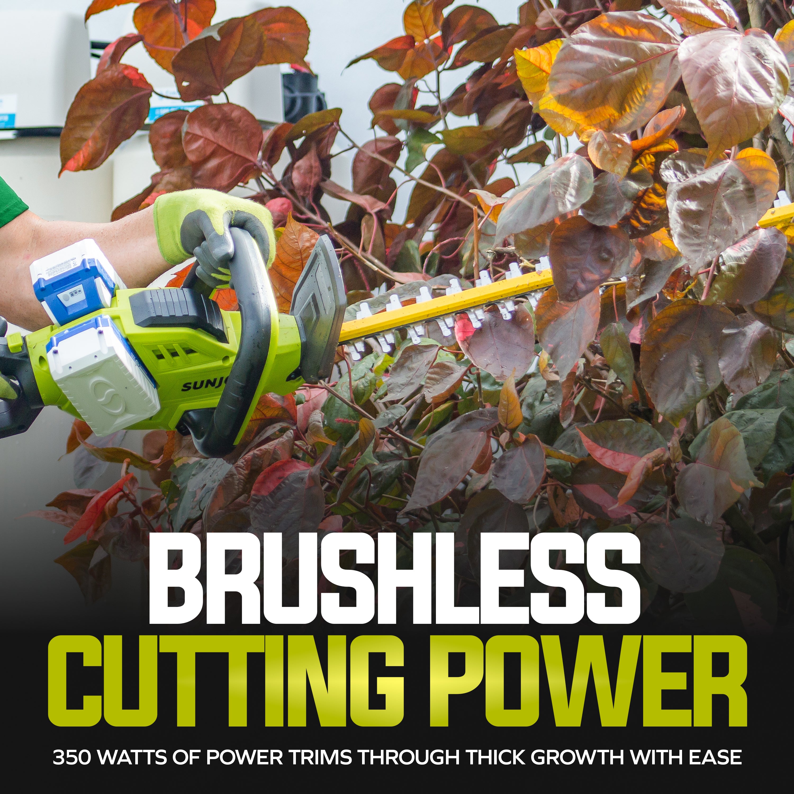 Sun Joe 24V-X2-24HT-CT 48-Volt IONMAX Cordless Hedge Trimmer | 24-inch | Tool Only