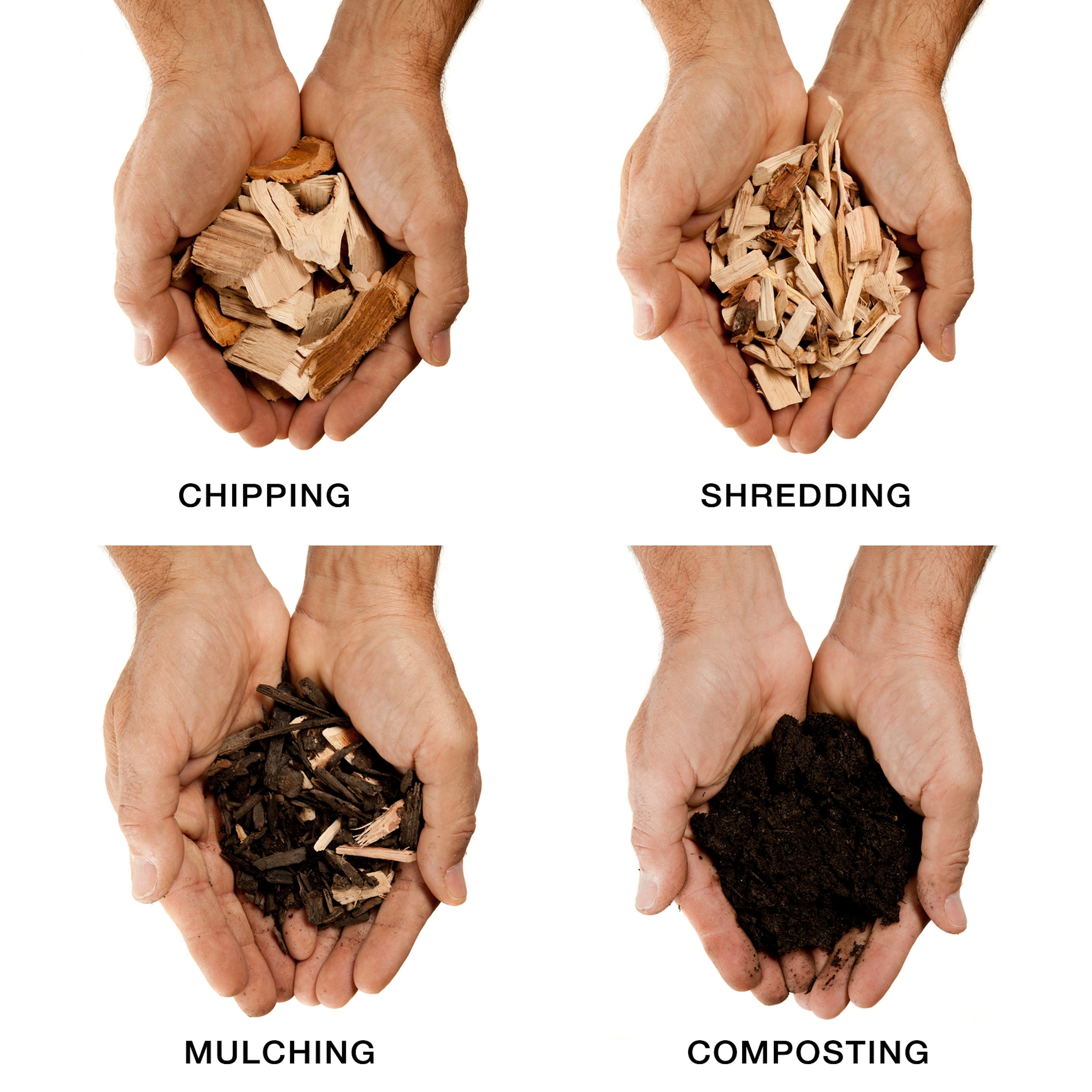 Infographic showing the different modes: chipping, shredding, mulching, and composting.