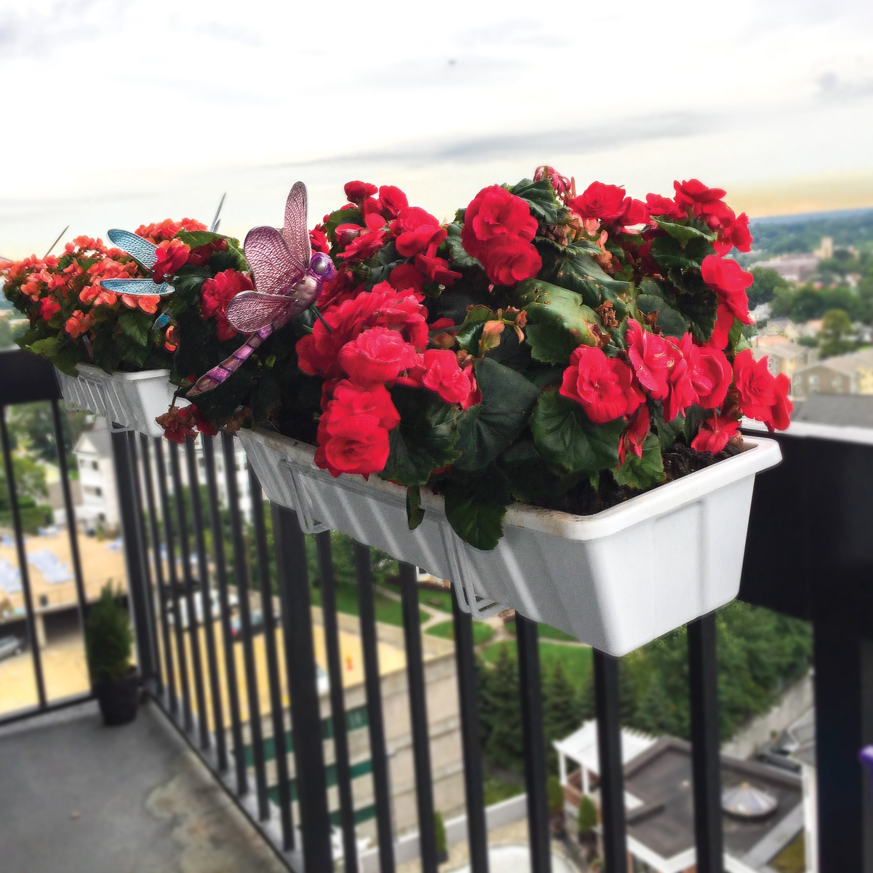 Sun Joe Deco Joe Adjustable Flower Box Holder in White holding flowers on a balcony railing.