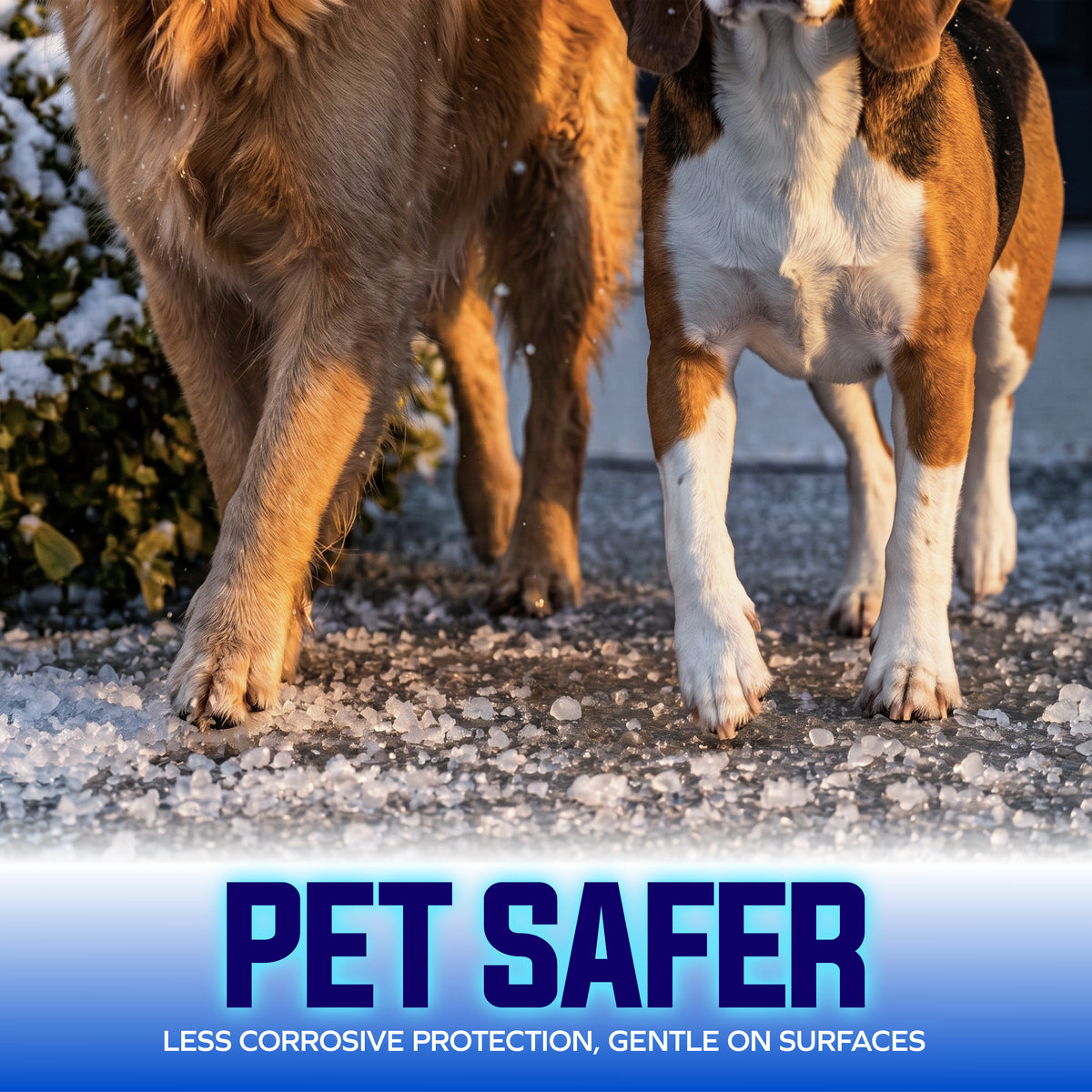MAGFL50 Pet Safer promotional image