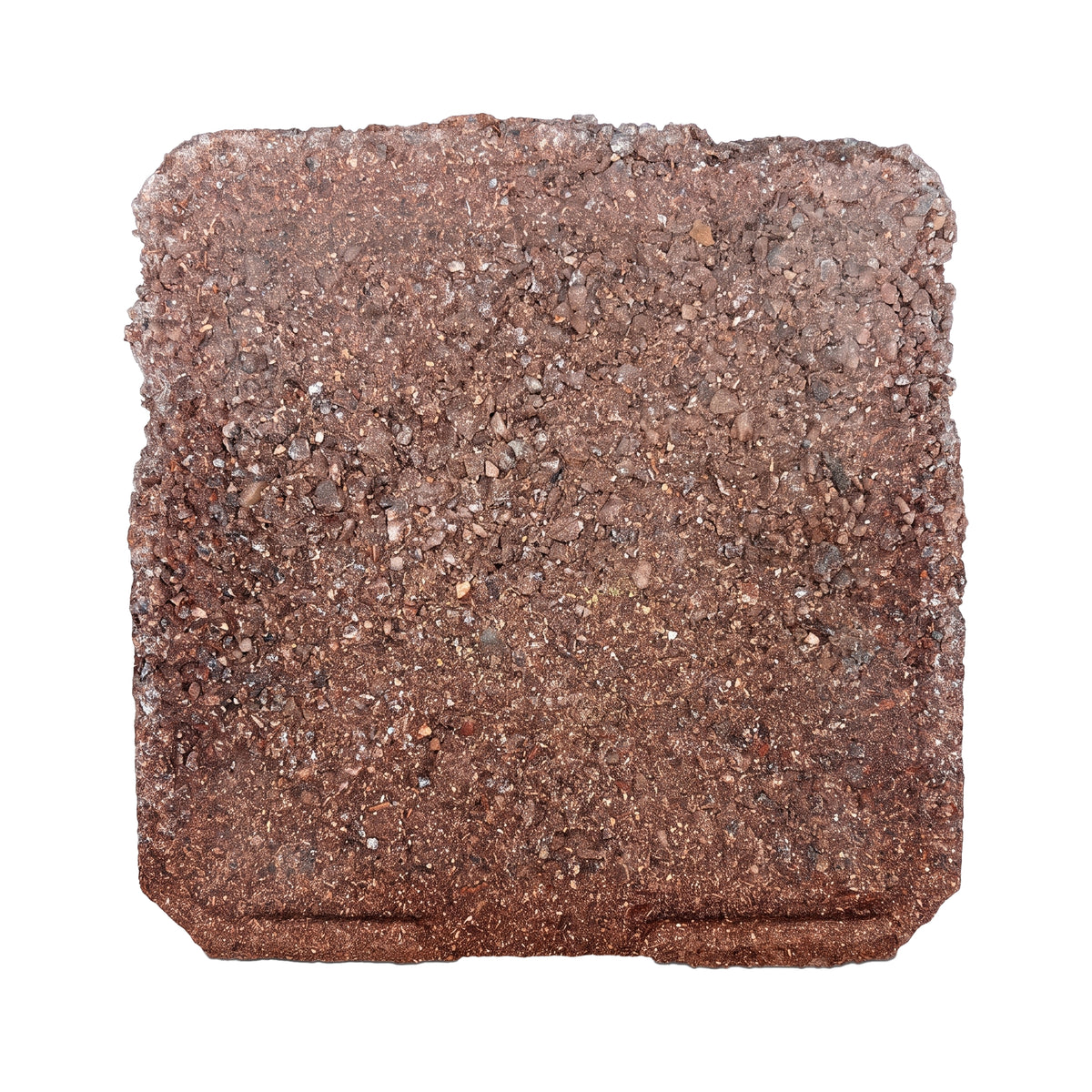 Sun Joe PGB25 additional product image