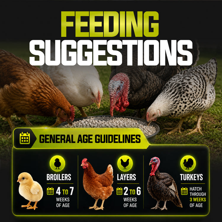 PGRIT50 feeding age guidelines
