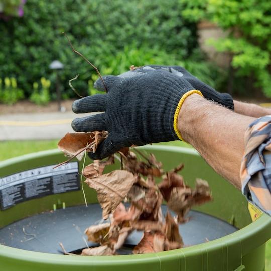 Person dropping leaves into the Sun Joe 15-amp Bladeless Electric Leaf Mulcher and Shredder.