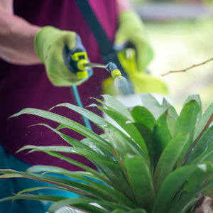 Sun Joe 4-volt 2-gallon Cordless All Purpose Chemical Sprayer spraying a plant.