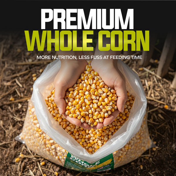 WC50 — Premium