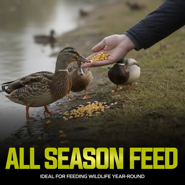 WC50 — All Season Feed